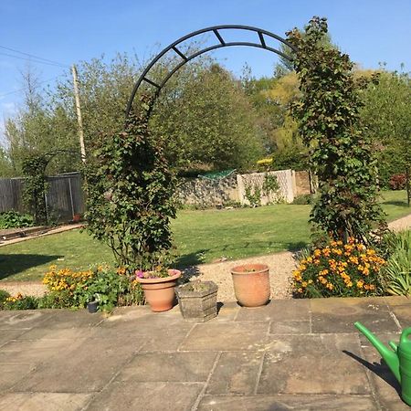 Little Orchard Cottage كانتربيري المظهر الخارجي الصورة