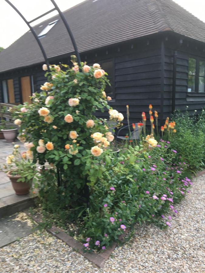 Little Orchard Cottage كانتربيري المظهر الخارجي الصورة
